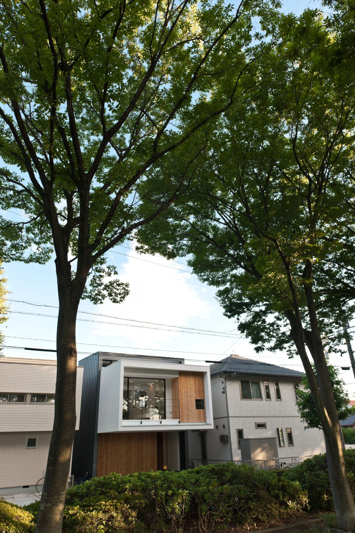写真 1