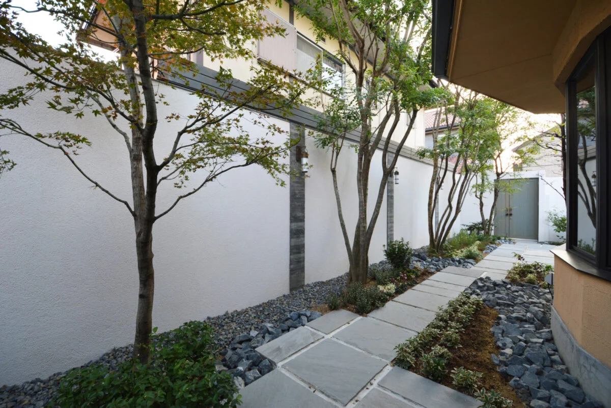 写真 2