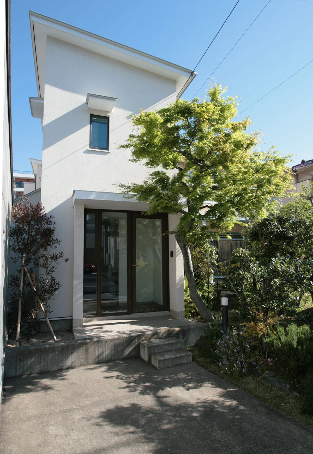 古いモミジが寄り添うガラス張りの玄関。しっとりと静かな佇まいながら、閑静な住宅街でひときわ目を引く