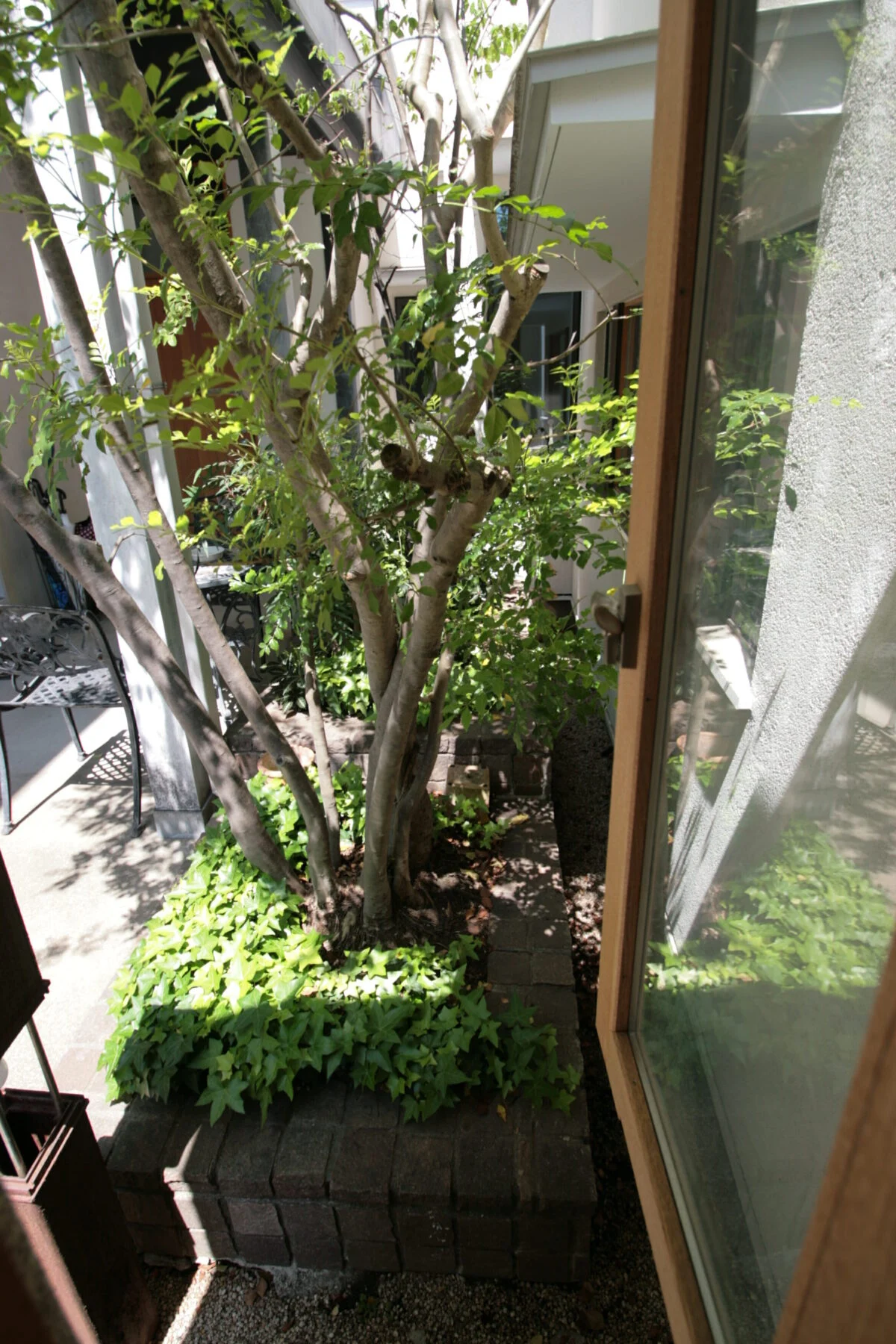 応接ルームのテーブル脇の小窓。ほかの部屋の窓と視線がぶつからず、それでいて植込みの緑を眺められる配置