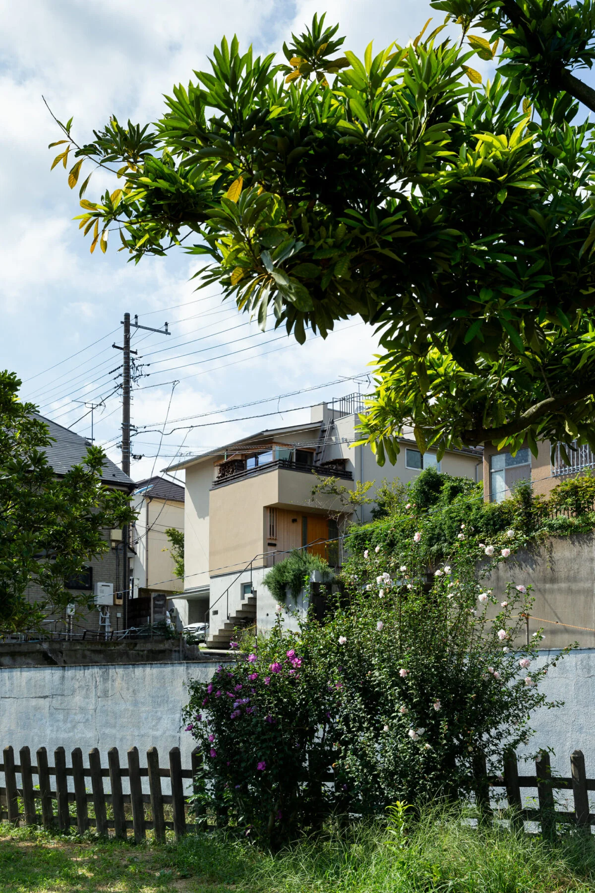 写真 1