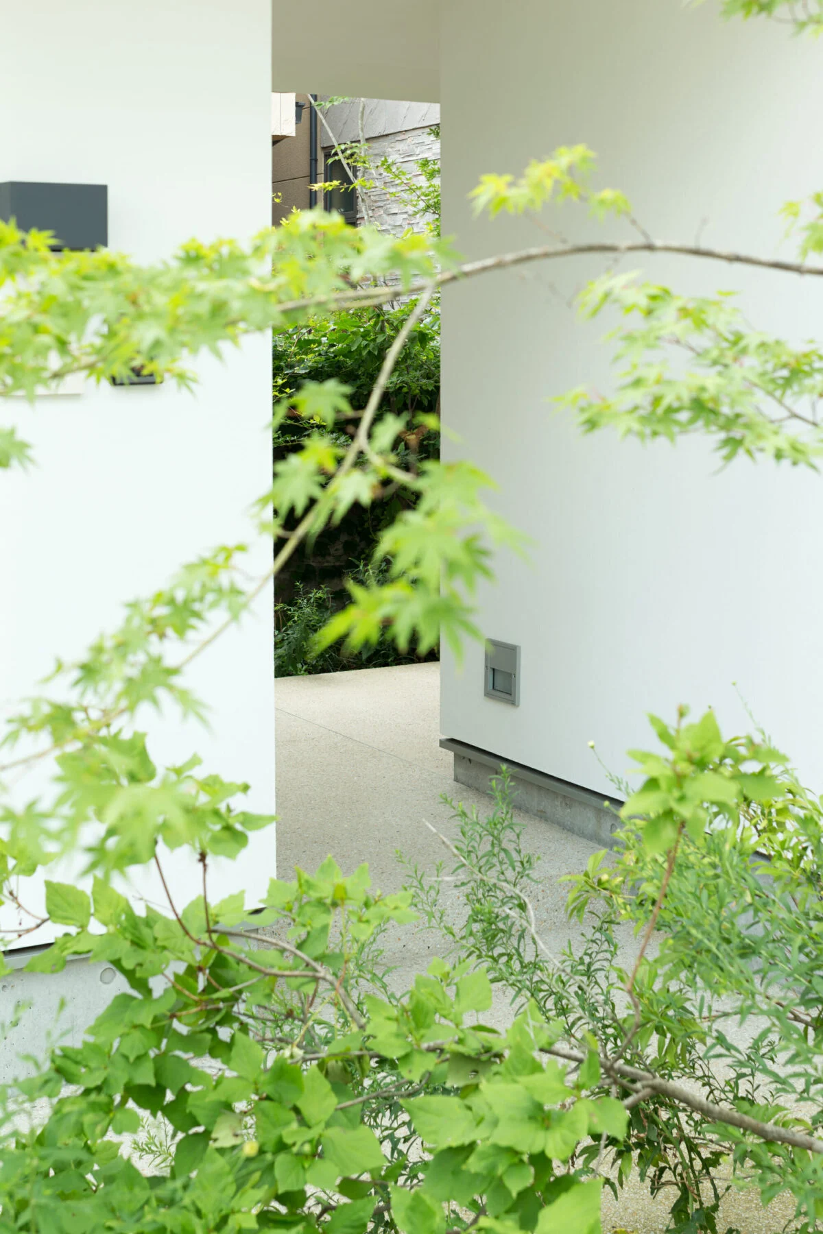 写真 2