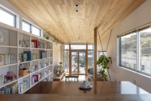 NARROW HOUSE