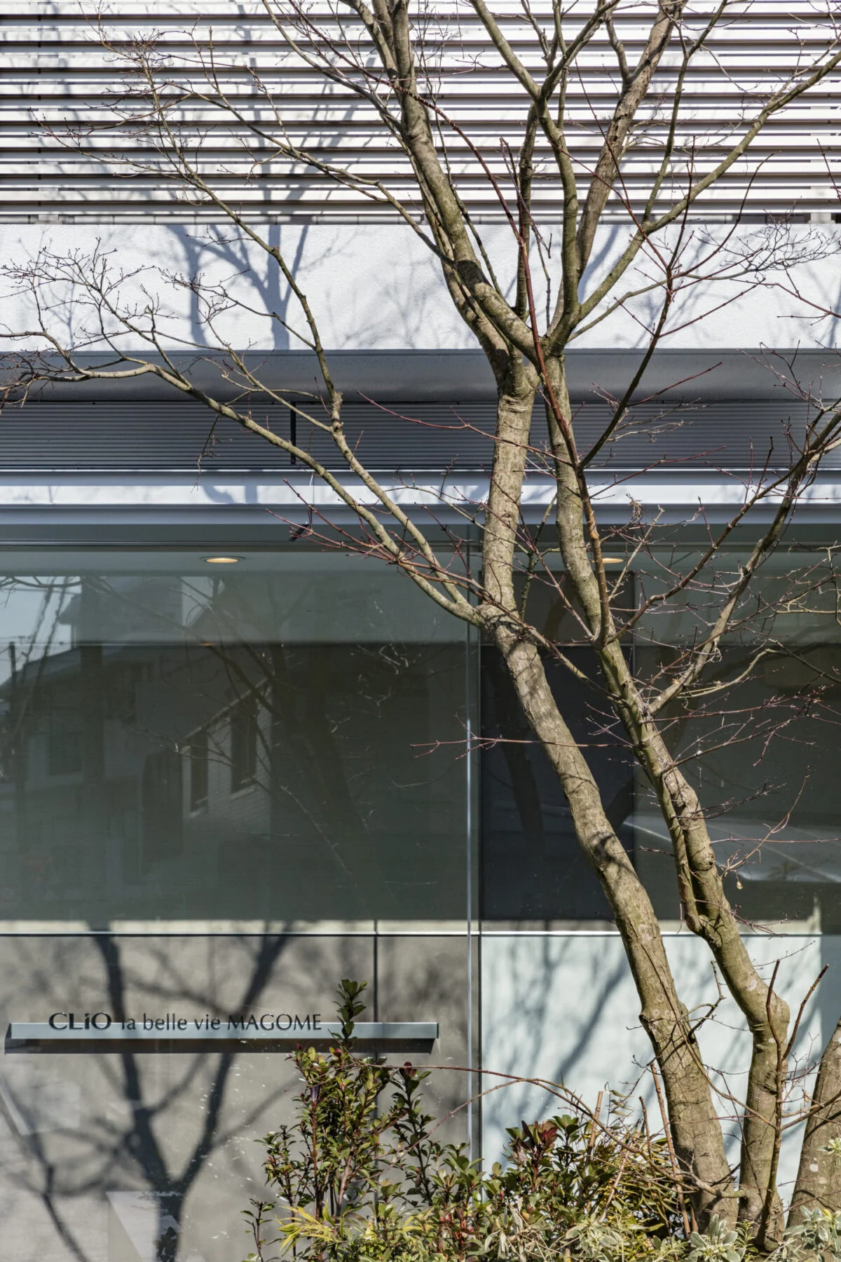 写真 1