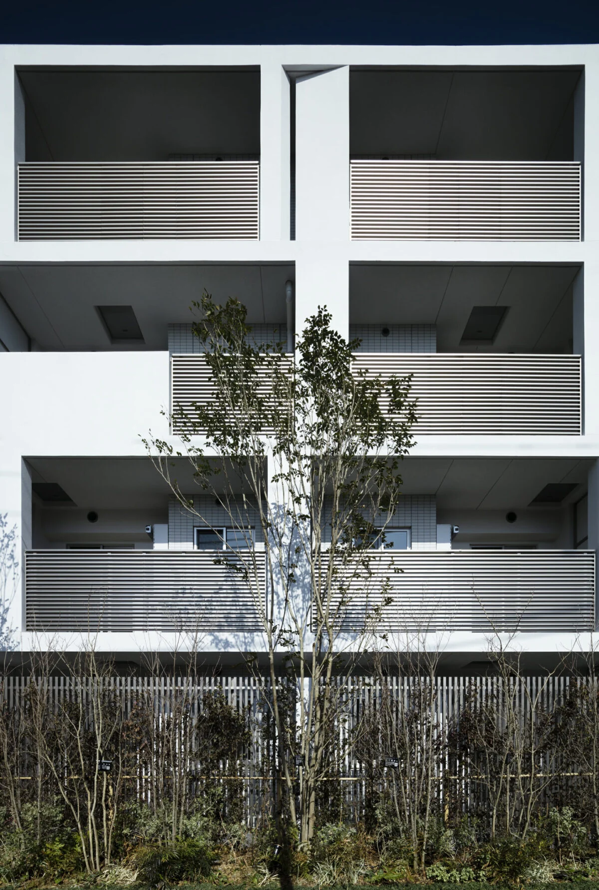 写真 3