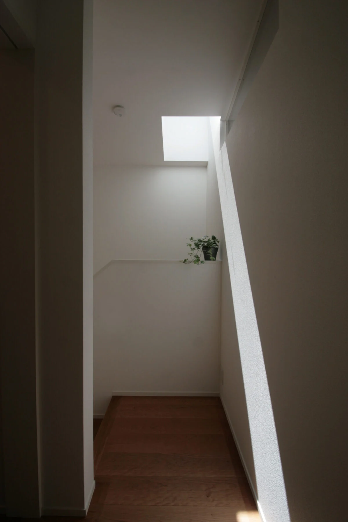 写真 18