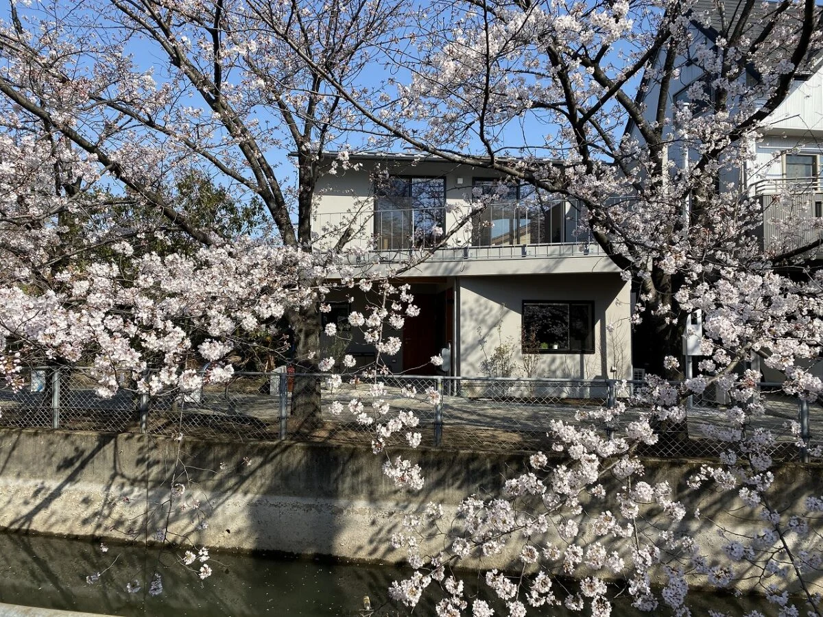 見沼代用水東縁に面したT邸。春には桜の花が手に届きそうなほど間近に迫り、目を楽しませてくれる