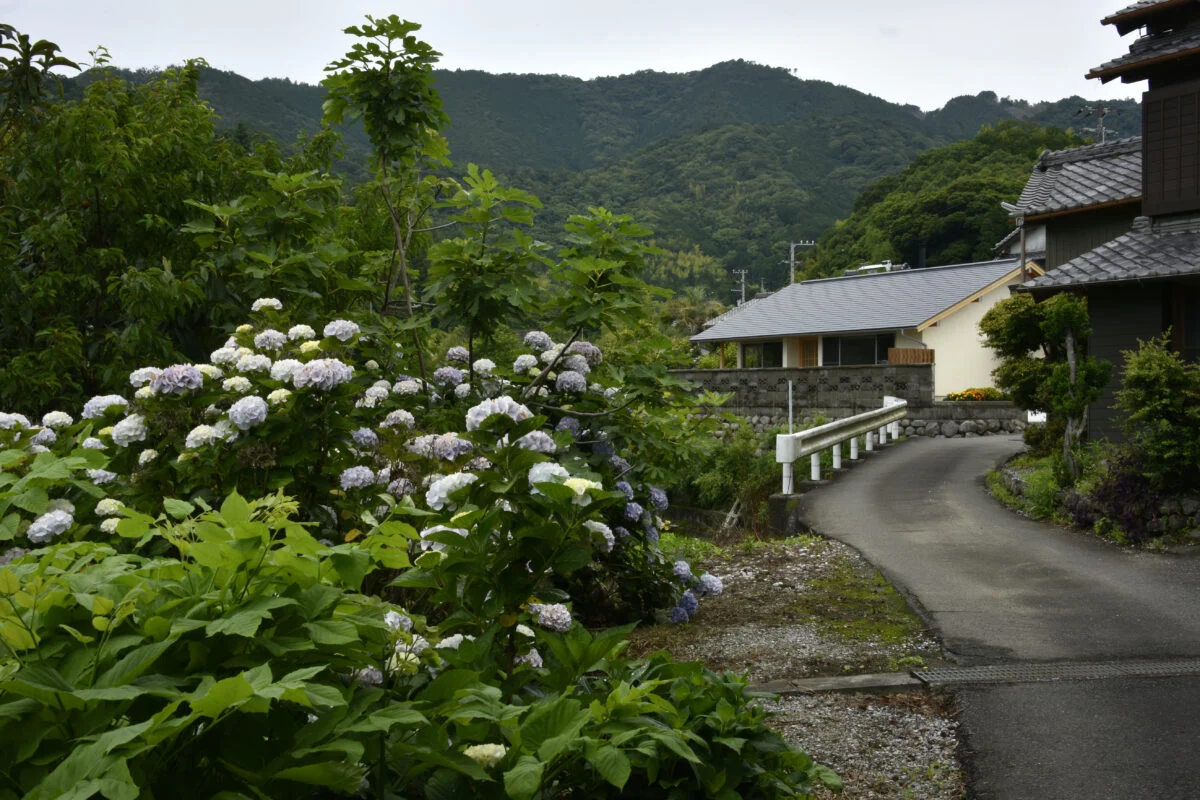 写真 4