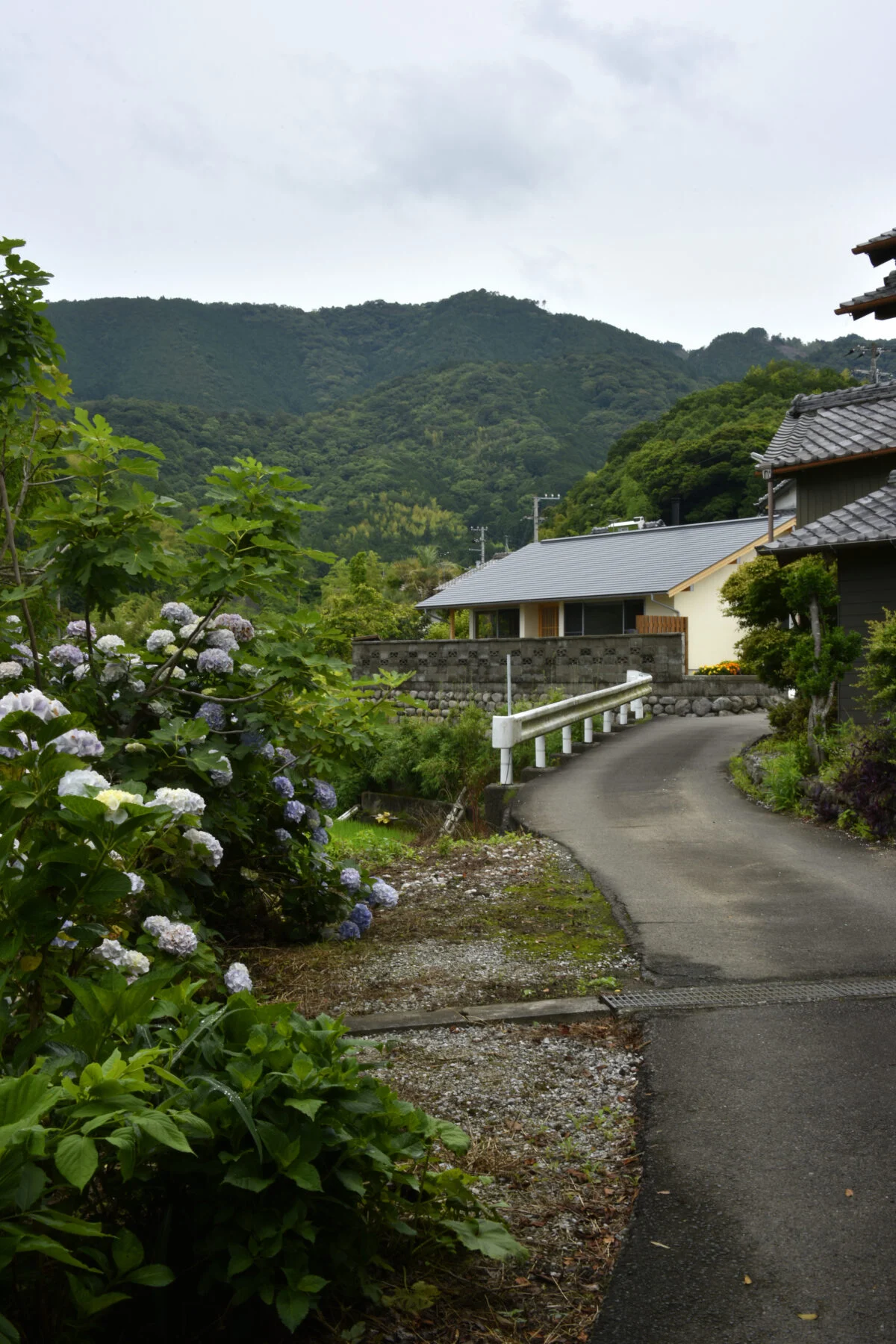 写真 5