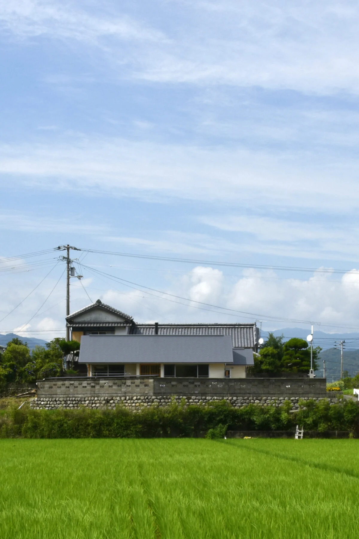 写真 6