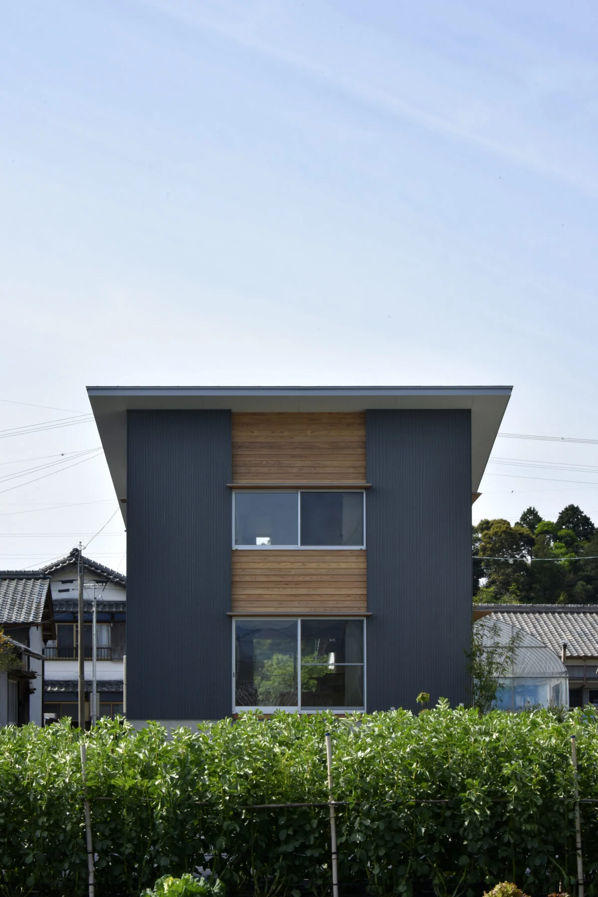 写真 2