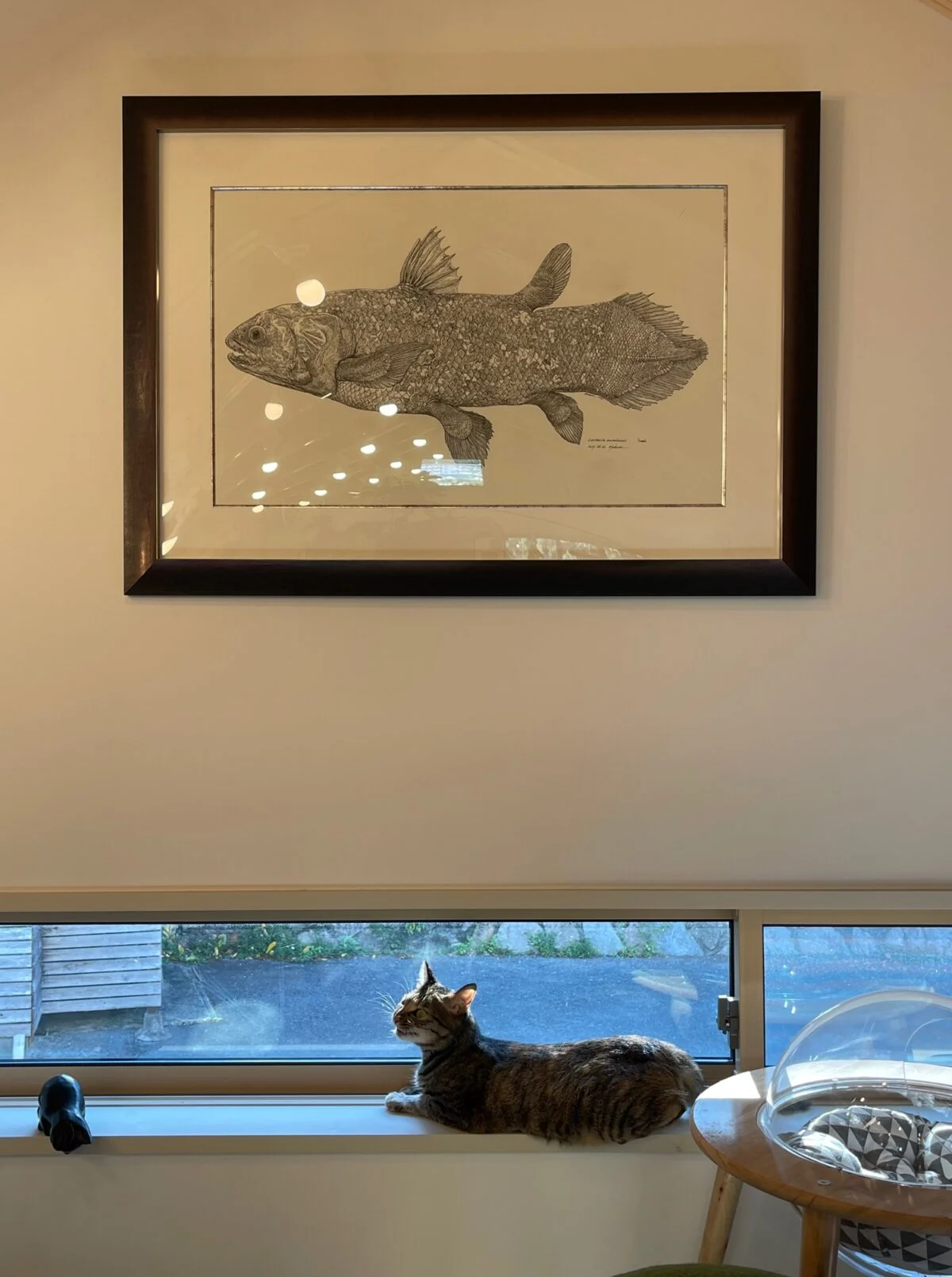 猫ロフトの窓。窓は額縁の奥行きを深く取り、外を眺める猫がゆったりくつろげるように配慮