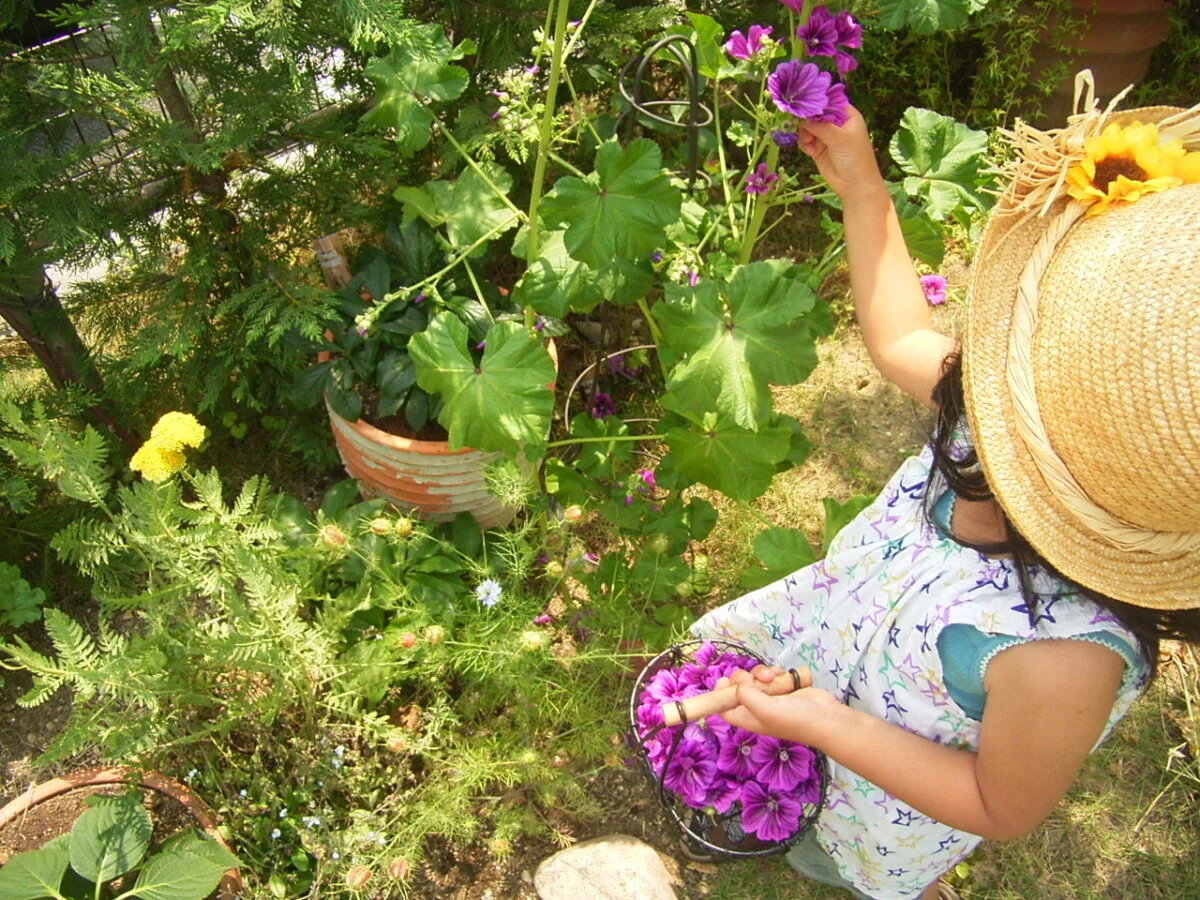 小さかった頃のお子さんは庭遊びが大好きだったそう。植物が育つ様子を観察しながら花を摘んだり、家庭菜園の野菜を収穫したりと、自然に触れて毎日ワクワク