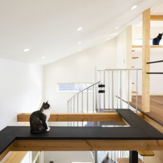 キャットウォークは一部を黒く塗装し、デザイン性をアップ。「猫の目は色を識別しにくいため、黒で道を明確に示して安全性を高める意味合いもあります」と廣瀬さん。また、「猫は天井が高いほうへ行くので」と、Kさまがいるリビング（写真右）に向かって天井が高くなるように設計
