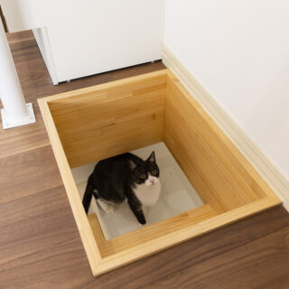 1階猫ダイニングの吊戸棚の側面には猫ステップが付いており、ステップをのぼりきった最上部からは、猫穴を介して2階へ行ける。写真は猫ステップの最上部（吊戸棚の上）に上がって猫穴を見上げる猫で、2階から撮影している
