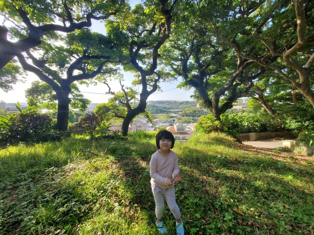 岸田さんが家づくりのインスピレーションを得た里山の饒波の杜と、岸田さんの娘さん