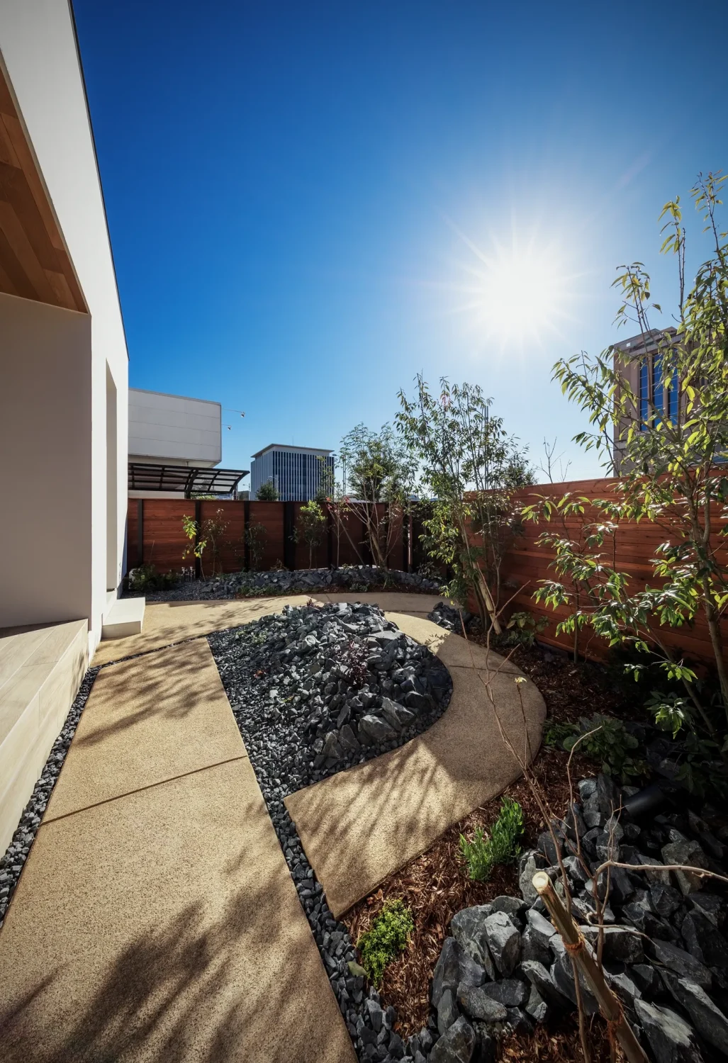写真 10