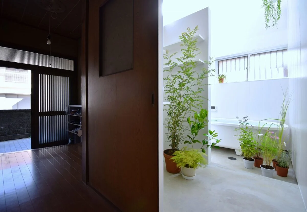 写真 2