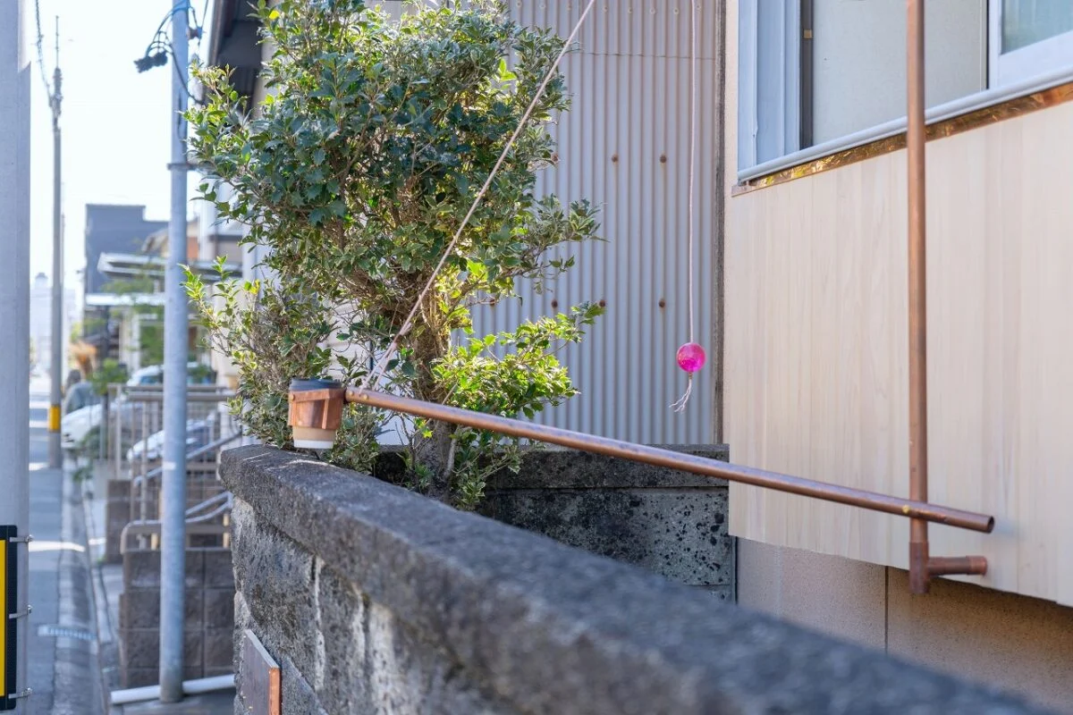 写真 5