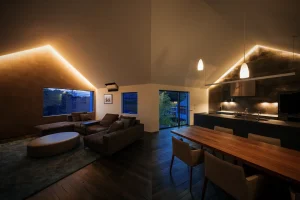 Branch Haus