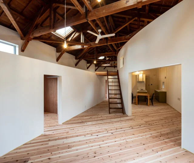 o renovation