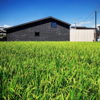 撮影：福澤　昭嘉
切妻屋根と黒壁が落ち着きを感じさせる和テイストの建物が、田んぼの緑のなかにぽっかり浮かぶかのよう。