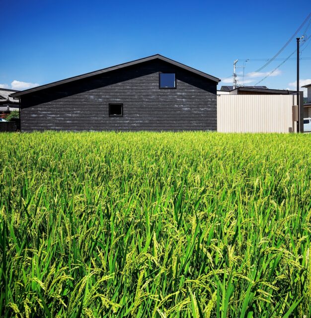 撮影：福澤　昭嘉
切妻屋根と黒壁が落ち着きを感じさせる和テイストの建物が、田んぼの緑のなかにぽっかり浮かぶかのよう。