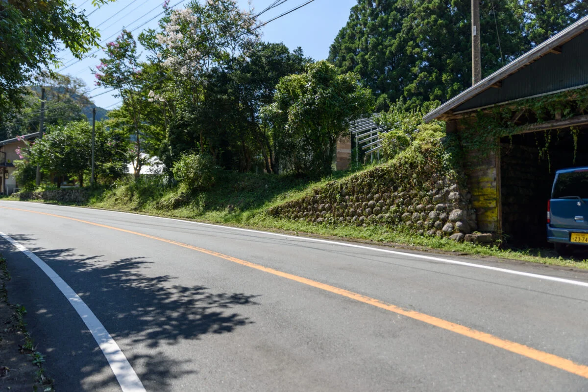 写真 4