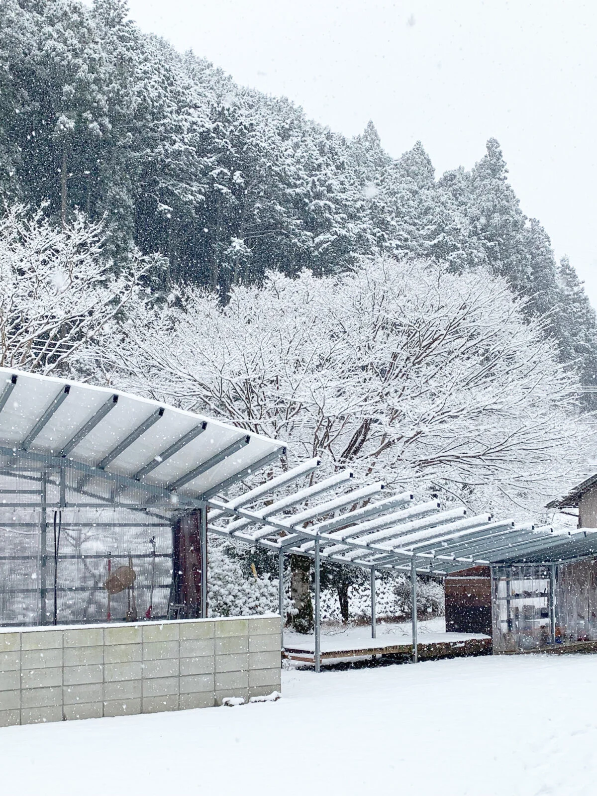 写真 20