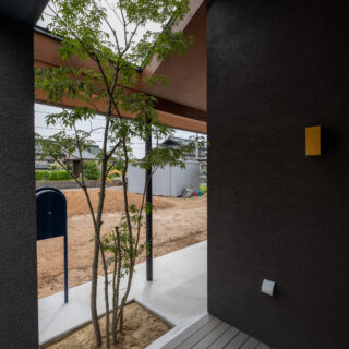 玄関前には、アオダモを植え緩やかな目隠しに。天井部分がくりぬかれており、この家とともに木が成長していく。
