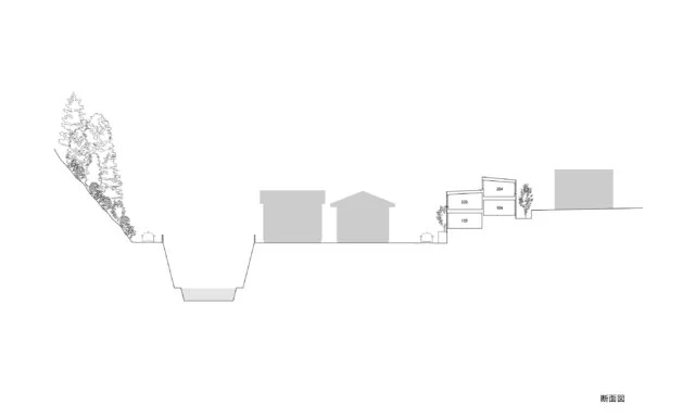 section