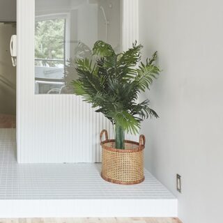 水回りゾーンの一角に設けられた、ガーデニングスペース。室内で植物を育てる場として重宝するほか、趣味のものを置くなど自由な使い方も。自分なりの豊かな暮らしを楽しむ空間