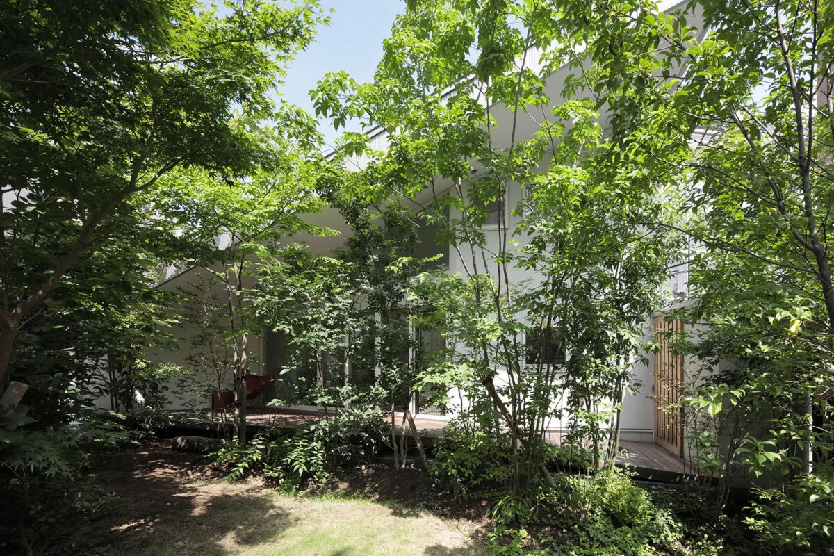 東京の雑木林をテーマにした庭。茂った樹々が隣家からの視線を目隠しするほか、適度に日差しを遮ったり、季節の移ろいを感じさせてくれたりといった役割も。
