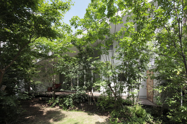 東京の雑木林をテーマにした庭。茂った樹々が隣家からの視線を目隠しするほか、適度に日差しを遮ったり、季節の移ろいを感じさせてくれたりといった役割も。
