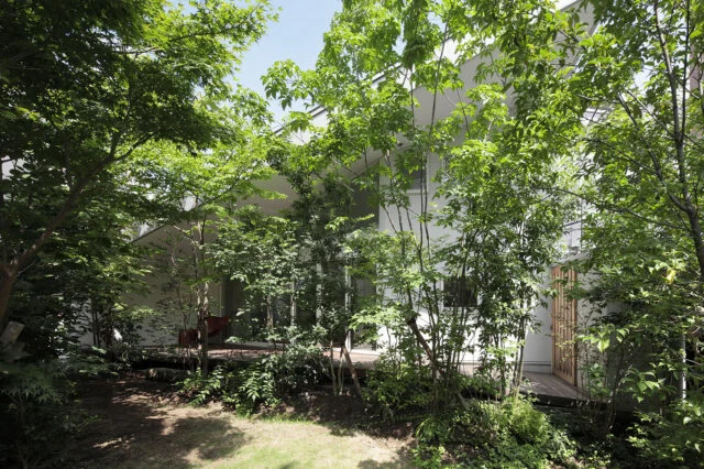 東京の雑木林をテーマにした庭。茂った樹々が隣家からの視線を目隠しするほか、適度に日差しを遮ったり、季節の移ろいを感じさせてくれたりといった役割も。
