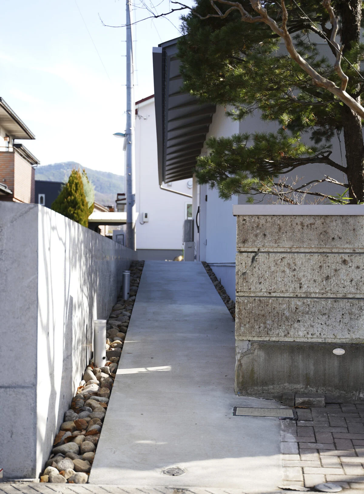 写真 2
