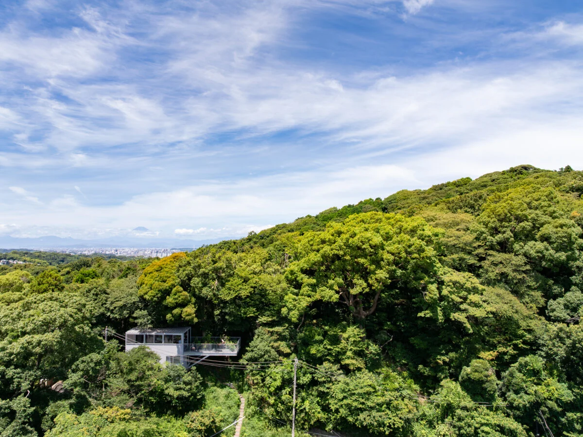 写真 1