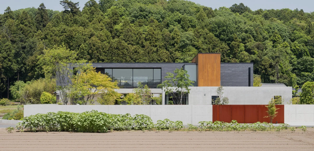 余白を生むずれ重なる箱の家 共鳴し合う建築と庭