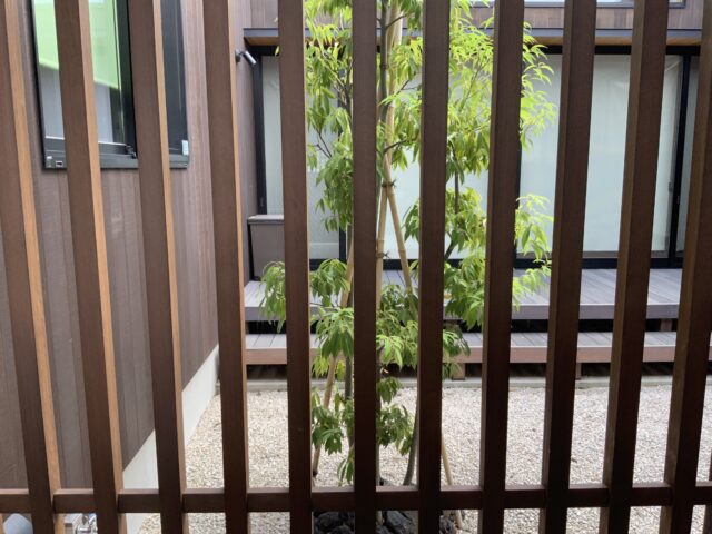 車庫の後ろに位置する、中庭のメンテナンス用の格子戸。現在は植えられた樹木がさらに伸びているので、外から中庭が見えることもない
