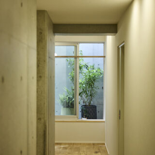 廊下を進んだ先にはドライエリアを確保し、光や風を導くとともに、植栽を置いて庭のようなスペースを生み出している。限られた敷地の中で、外部空間との関係性を豊かにする工夫だ
