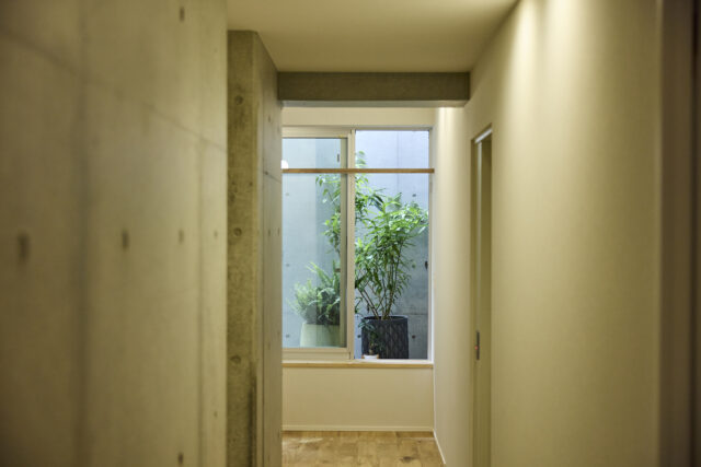 廊下を進んだ先にはドライエリアを確保し、光や風を導くとともに、植栽を置いて庭のようなスペースを生み出している。限られた敷地の中で、外部空間との関係性を豊かにする工夫だ