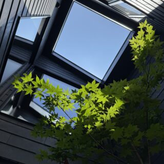 坪庭に各部屋の窓が設けられ、光と風を取り込みつつプライバシーを確保している