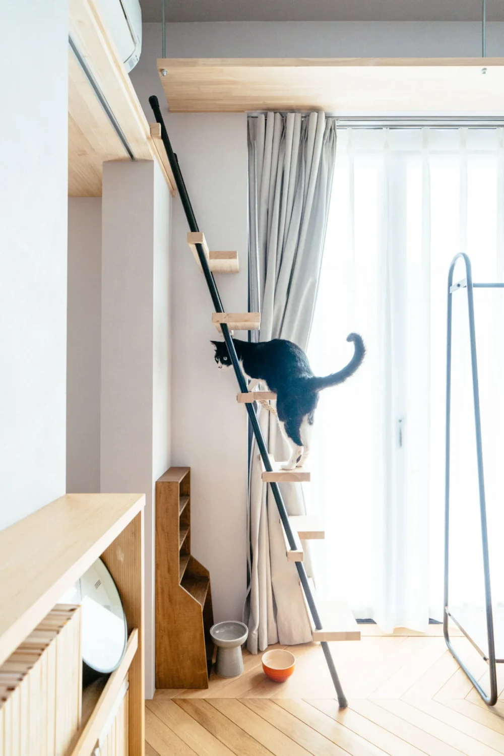 施主と建築家の共同作業で叶えた
住まう家族も猫たちも心地よく共生する家