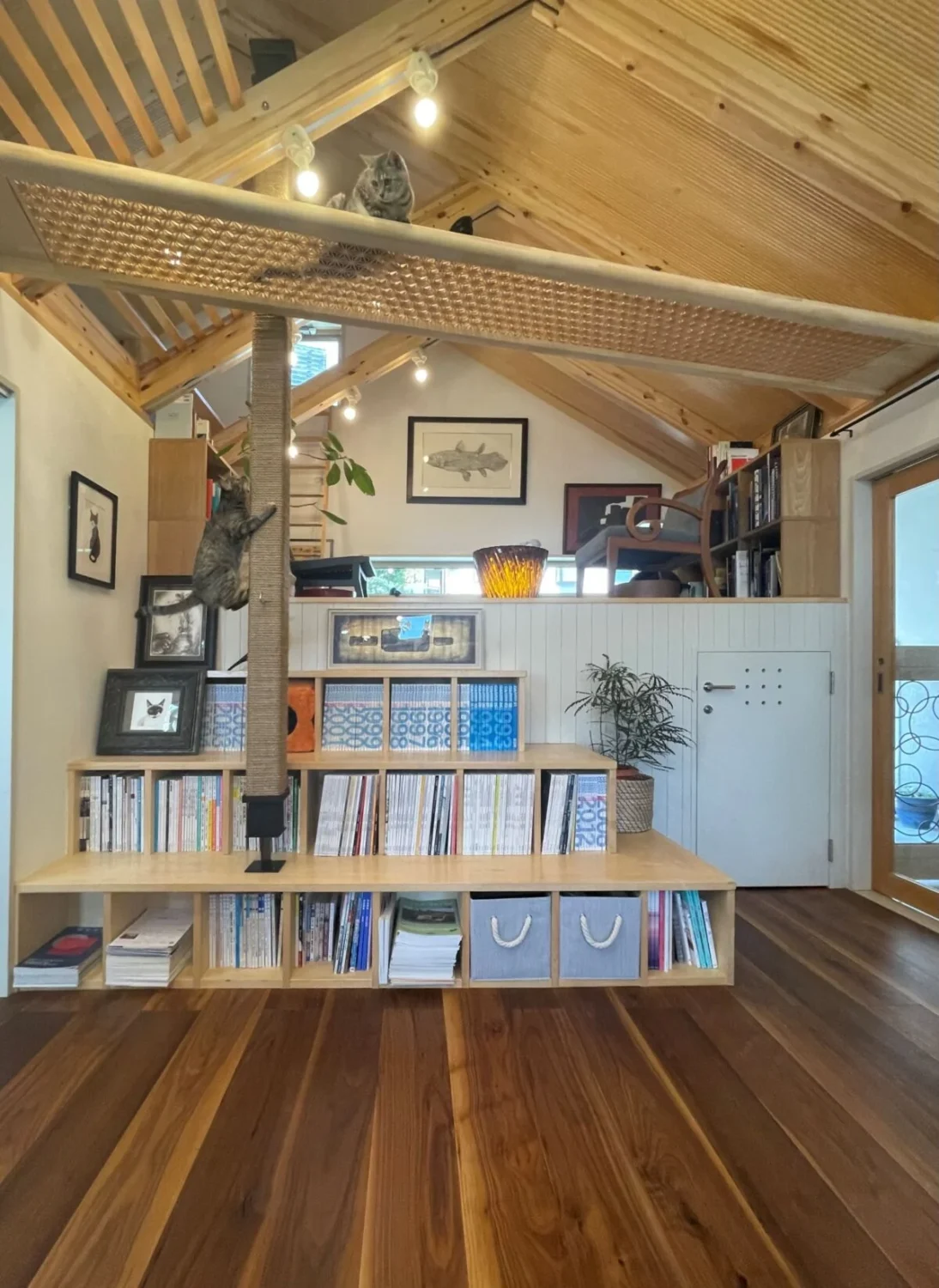 ペットがいてもインテリアをあきらめない。
犬猫専門建築家がつくる大満足の住宅とは？